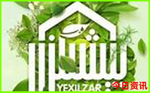 王中王727271最准确生肖