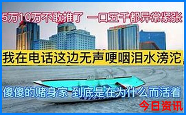 中国那个城市夏天最凉快
