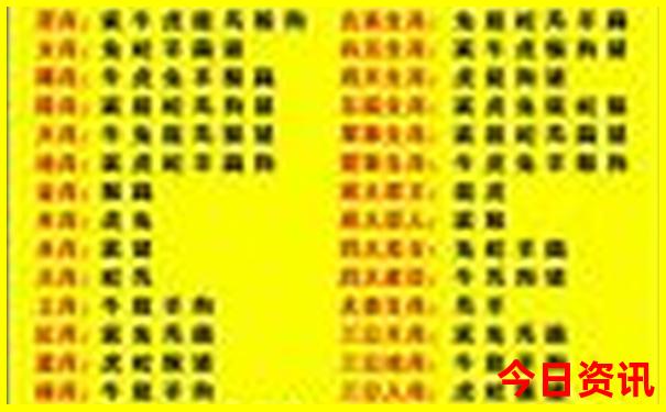 澳门二四六天天免费好材料