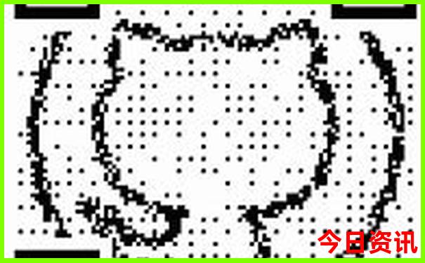 云阳十大旅游景点