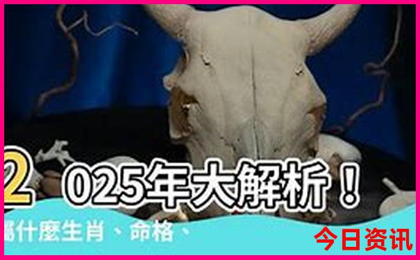 老年人夏天去哪儿旅游比较好