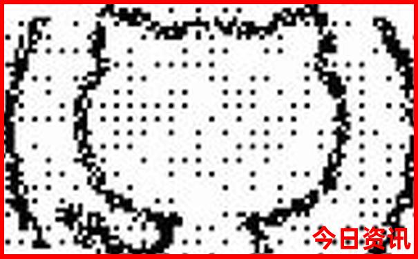 布衣图库天中图库手机版